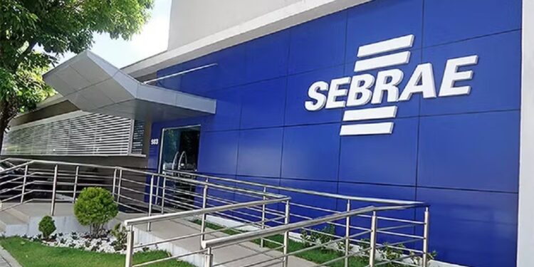 Sebrae-SP realiza 'Semana do MEI' com cursos e atendimentos gratuitos até sexta-feira